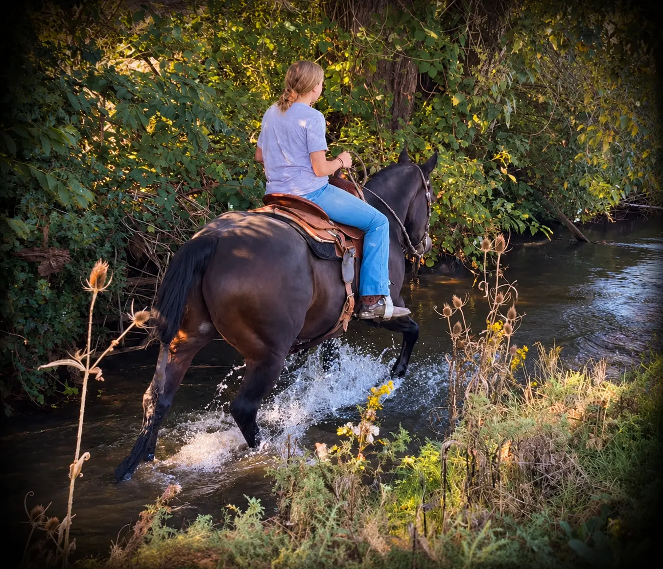 Awesome photograph 6