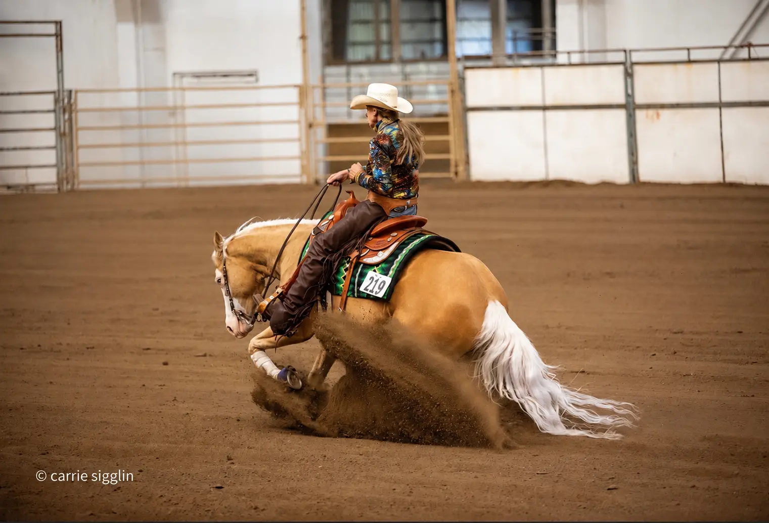 Addie photograph 2
